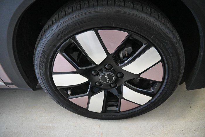 2024 BYD Dolphin Dynamic