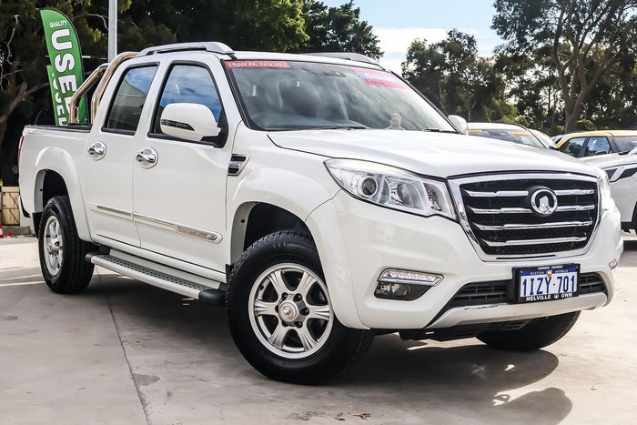 2019 Great Wall Steed