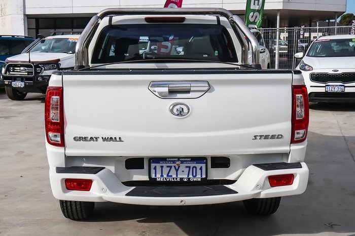 2019 Great Wall Steed