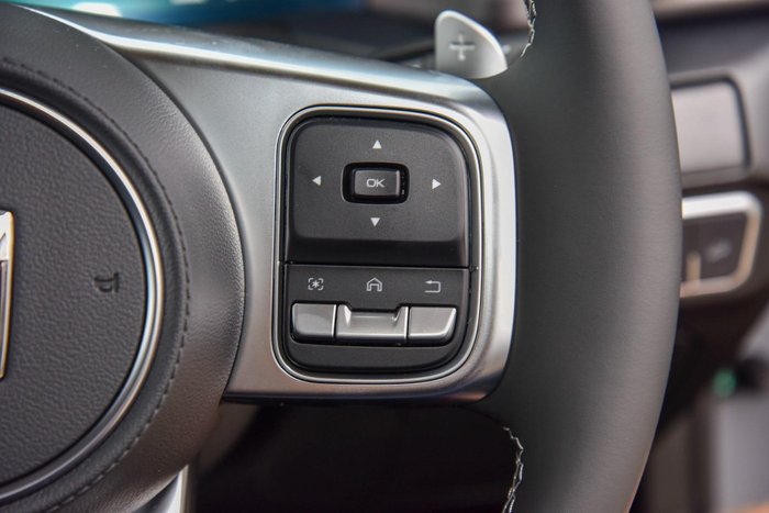 2025 GWM Tank 300 Lux