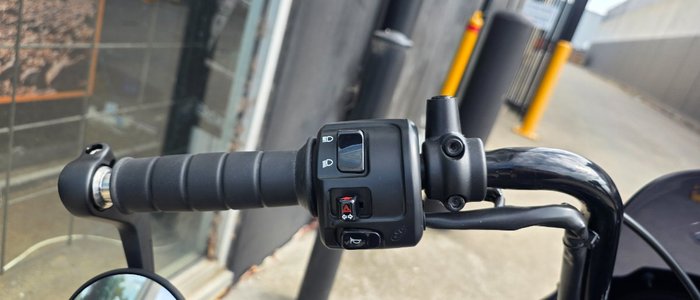 2023 Indian SCOUT ROGUE CYPHER CAMO GRAY