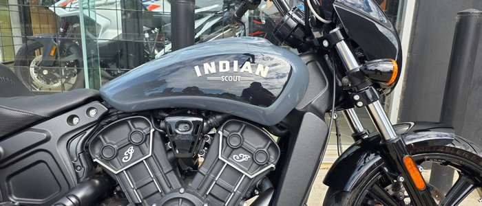 2023 Indian SCOUT ROGUE CYPHER CAMO GRAY