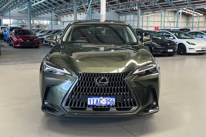 2023 Lexus NX NX350h Luxury