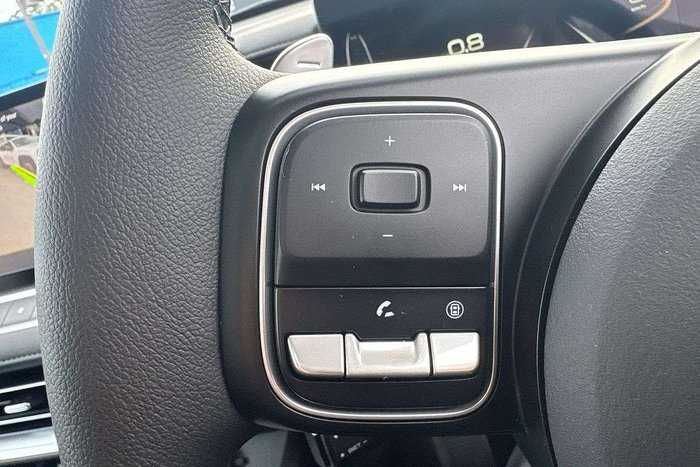 2025 GWM Cannon Vanta