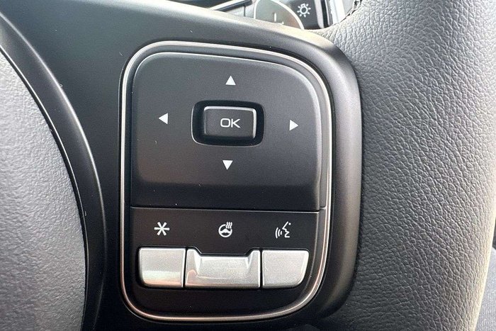 2025 GWM Cannon Vanta