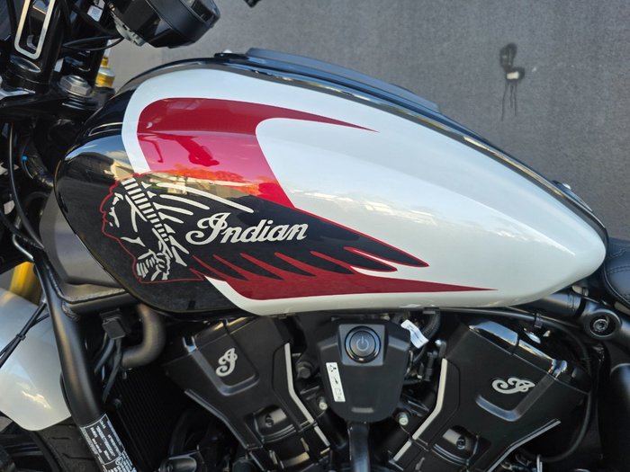 2025 Indian 2025 INDIAN 1250CC 101 SCOUT GHOST WHITE METALLIC