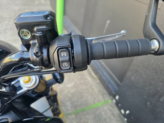 2025 Indian 2025 INDIAN 1250CC 101 SCOUT GHOST WHITE METALLIC