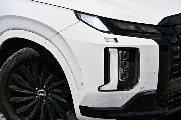 2024 Hyundai Palisade Calligraphy Black Ink
