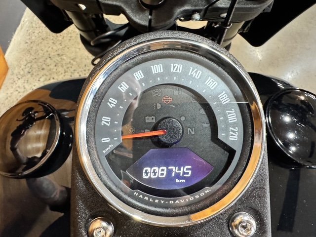 2020 HARLEY-DAVIDSON FXLRS LOW RIDER S (114)