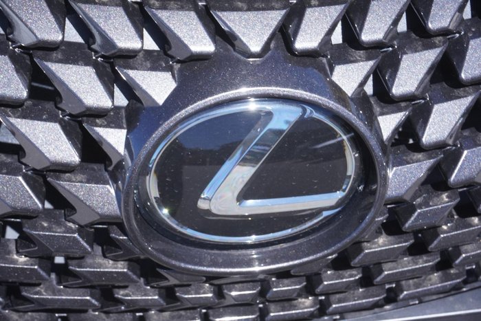 2019 Lexus UX 200 Sport Luxury