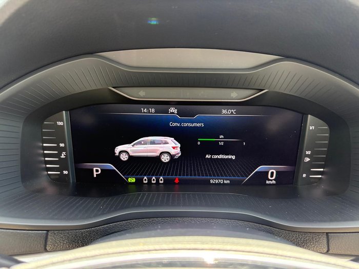 2021 SKODA Karoq 110TSI