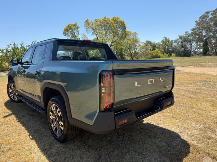 2025 LDV TERRON 9 EVOLVE