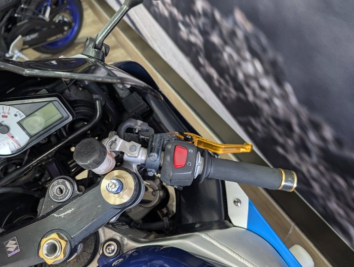 2001 Suzuki GSX-R600 BLUE