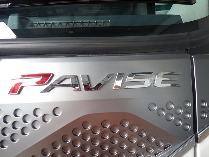 2025 HYUNDAI PAVISE D115