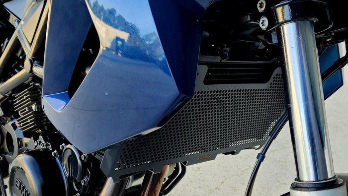 2011 BMW F 650 GS (800cc) F 650 Blue