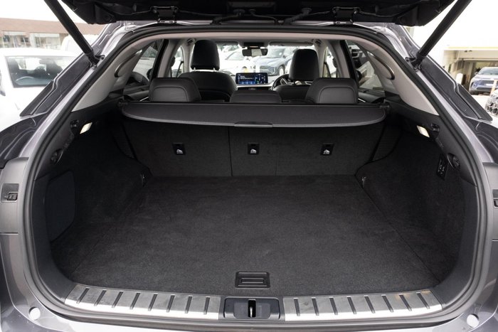 2021 Lexus RX 450h Sports Luxury