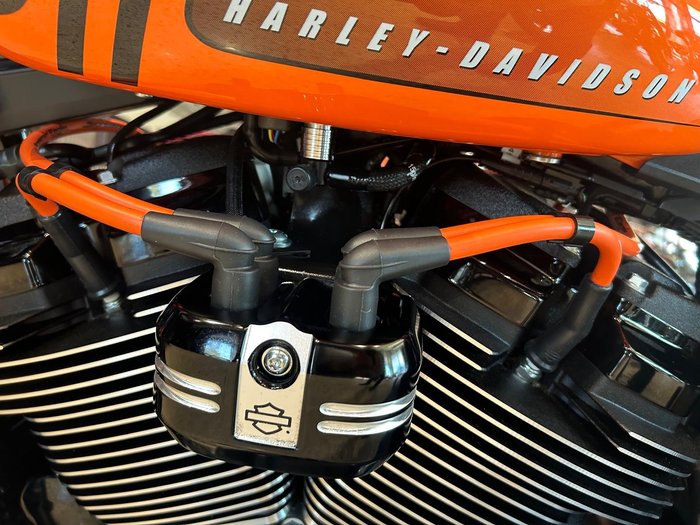 2024 Harley-Davidson Street Bob 114 (FXBBS) Softail Orange