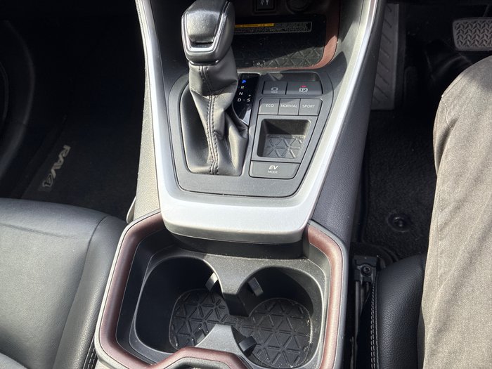 2019 Toyota RAV4 Cruiser