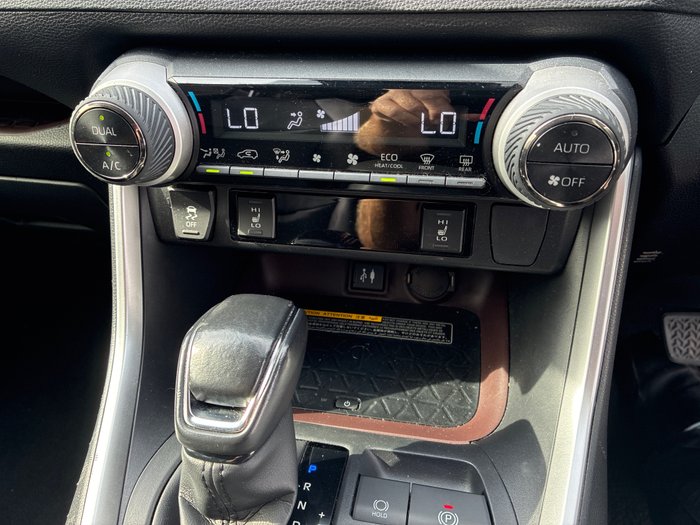 2019 Toyota RAV4 Cruiser