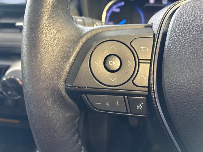 2019 Toyota RAV4 Cruiser