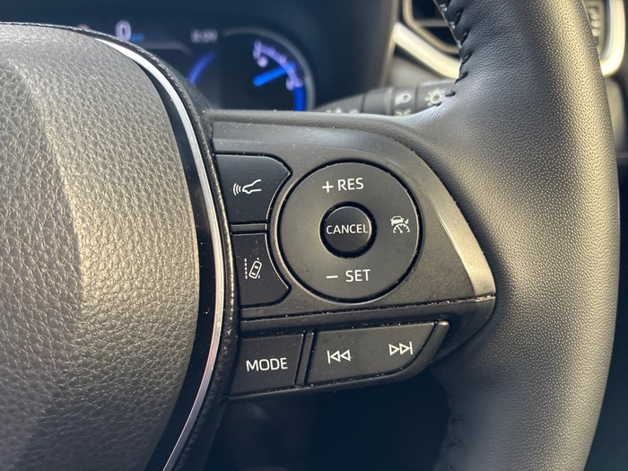 2019 Toyota RAV4 Cruiser