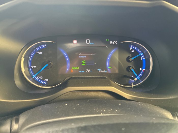 2019 Toyota RAV4 Cruiser