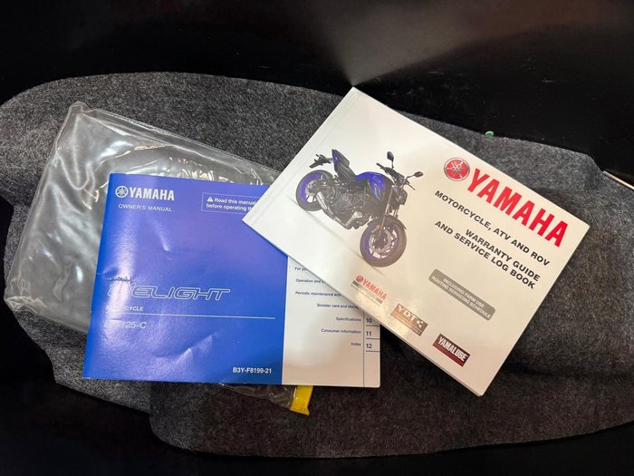2024 Yamaha D'elight 125 (LTS125-C) D'elight White