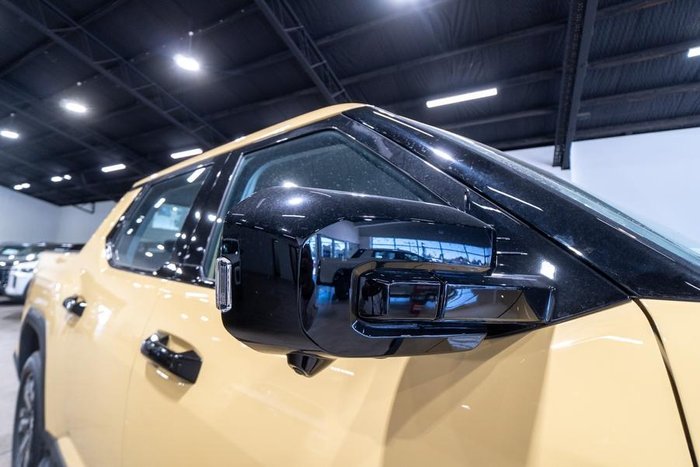 2025 LDV Terron 9 Evolve