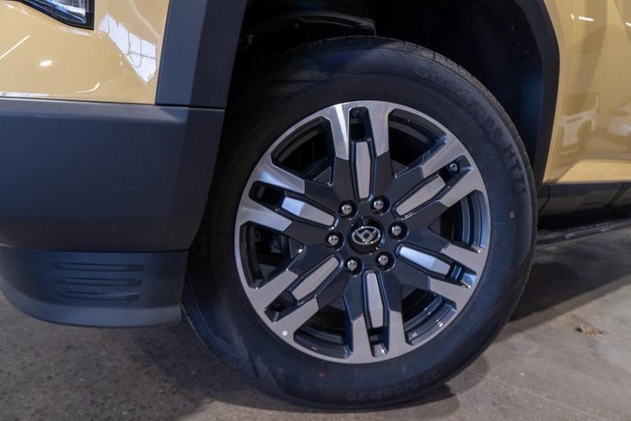 2025 LDV Terron 9 Evolve
