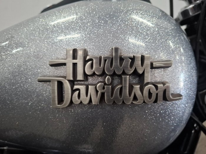 2014 HARLEY-DAVIDSON FXDB STREET BOB Grey