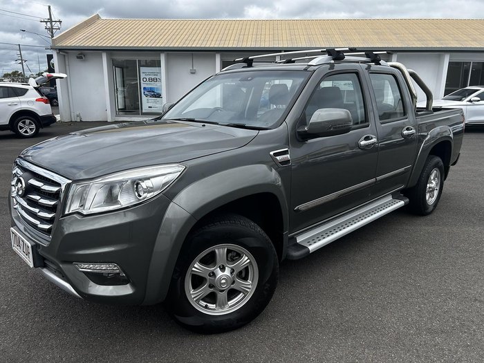 2019 Great Wall Steed