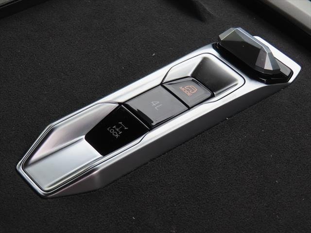 2025 LDV Terron 9 Origin