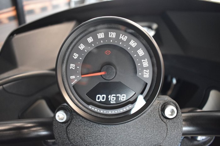 2025 HARLEY-DAVIDSON FXLRST LOW RIDER ST (117)