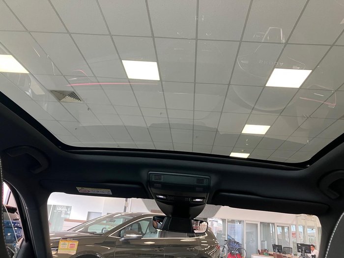 2025 SKODA Kamiq 110TSI Monte Carlo