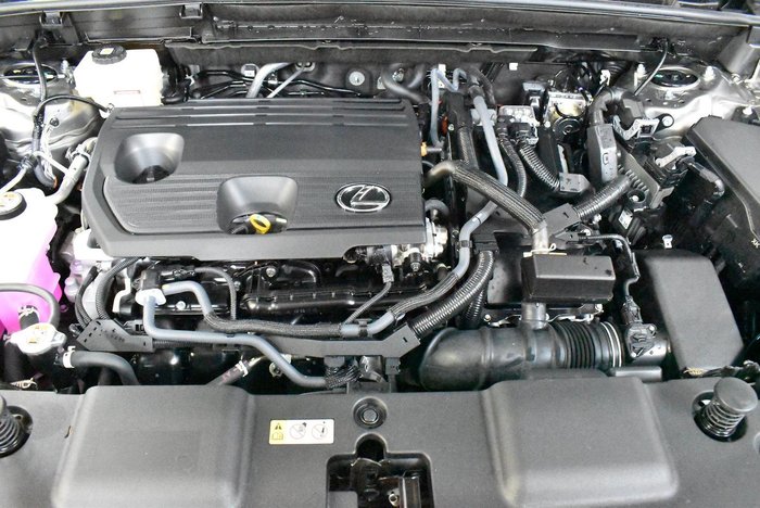 2024 Lexus NX 350h Luxury