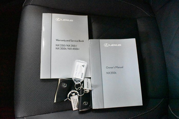 2024 Lexus NX 350h Luxury
