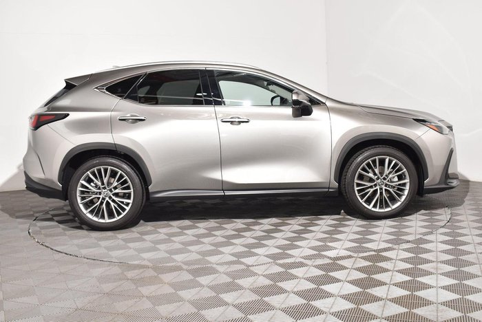 2024 Lexus NX 350h Luxury
