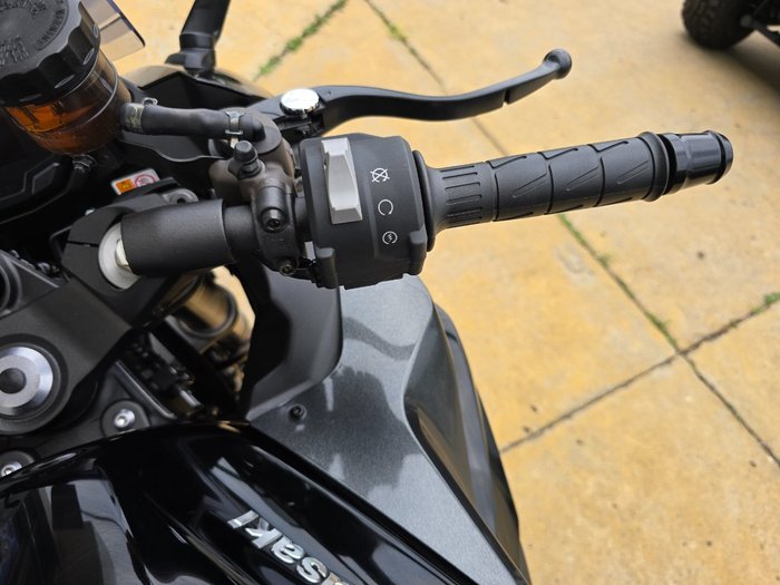 2025 Kawasaki NINJA 1100SX Green