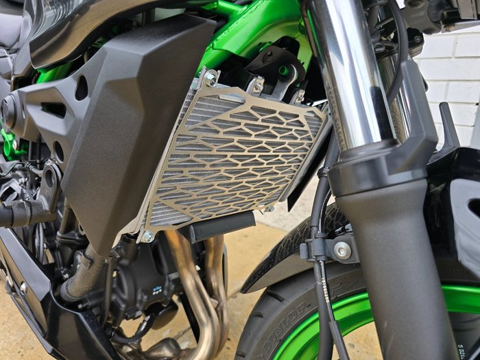 2025 Kawasaki Z500 SE Black