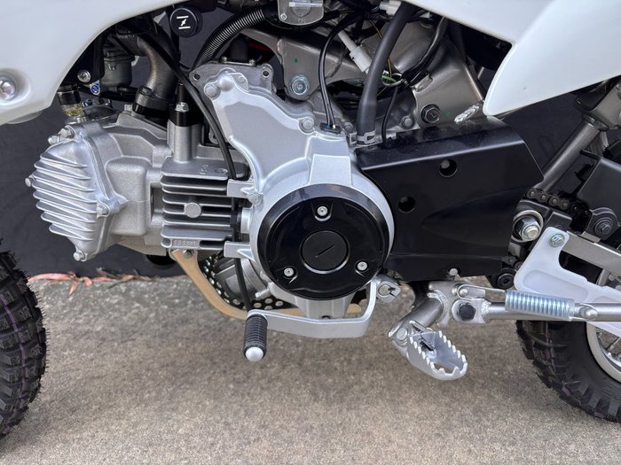 2026 Kawasaki 2026 Kawasaki 110CC KLX110DTFNN WHITE