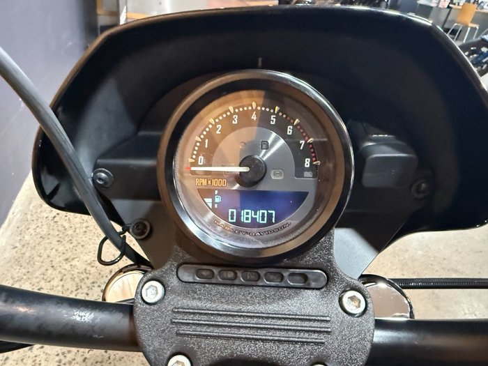 2019 HARLEY-DAVIDSON XL1200NS IRON 1200