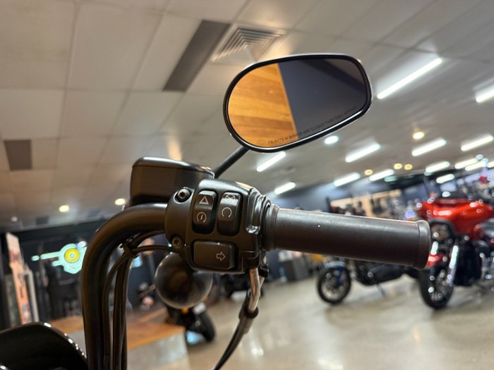 2019 HARLEY-DAVIDSON XL1200NS IRON 1200