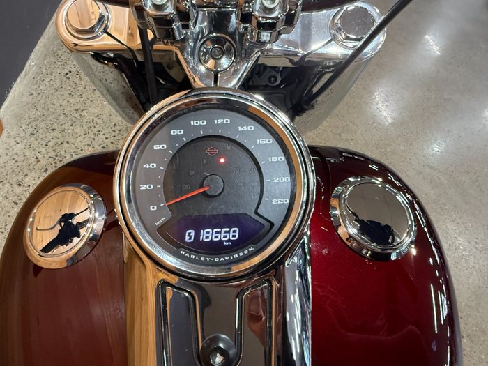 2021 HARLEY-DAVIDSON FLFBS FAT BOY (114)