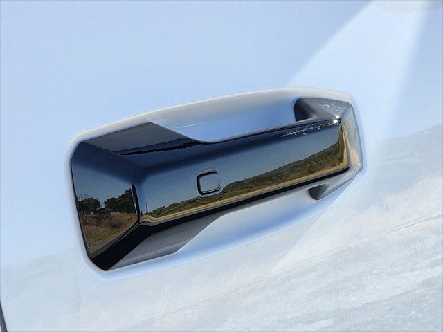 2026 LDV Terron 9 Evolve