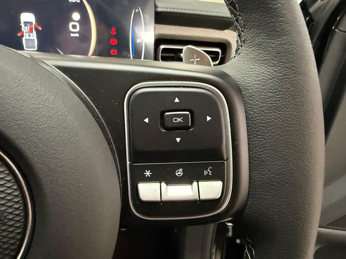 2025 GWM Cannon Vanta NPW 4X4 Dual Range Crystal Black