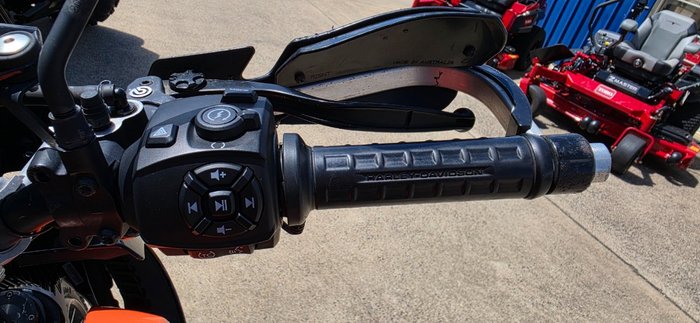 2021 HARLEY-DAVIDSON RA1250S PAN AMERICA SPECIAL WHITE