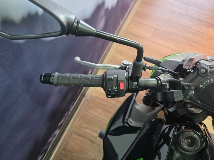 2018 Kawasaki Z650L (LAMS) GREEN