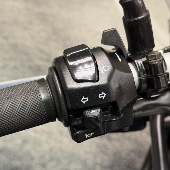 2019 Royal Enfield HIMALAYAN Grey