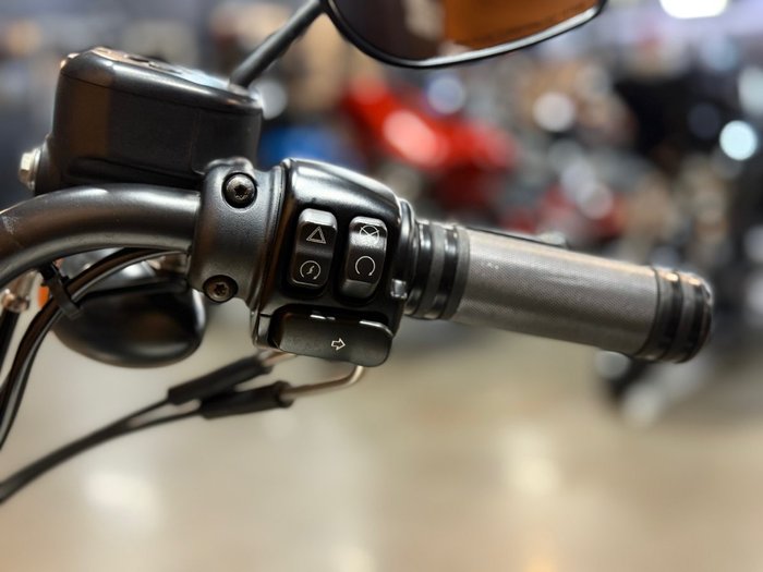 2018 HARLEY-DAVIDSON XL1200NS IRON 1200