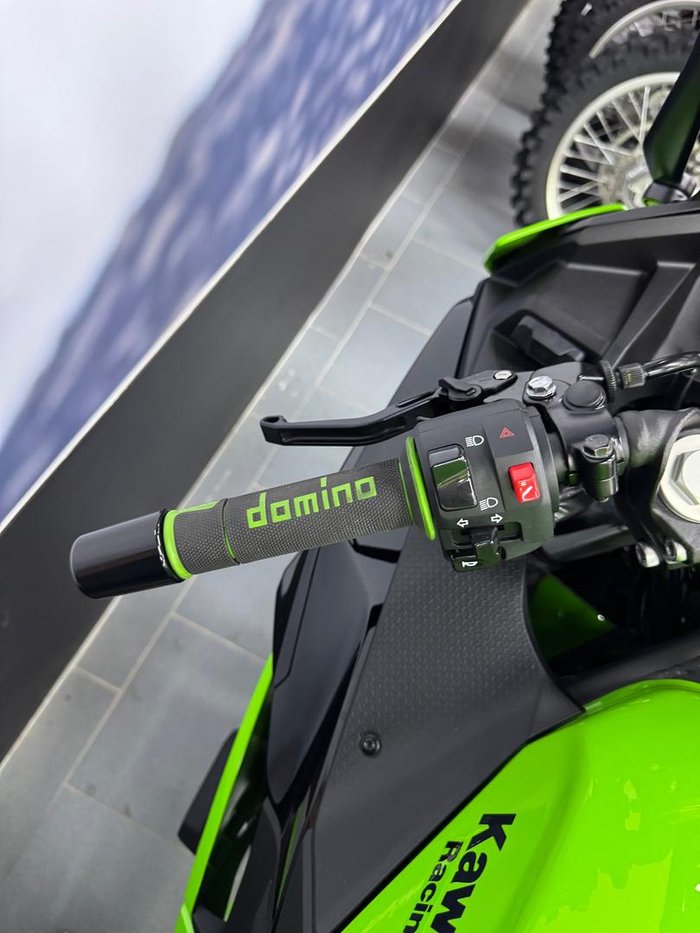 2025 Kawasaki Ninja 500 SE KRT Edition (EX500J) Ninja Green